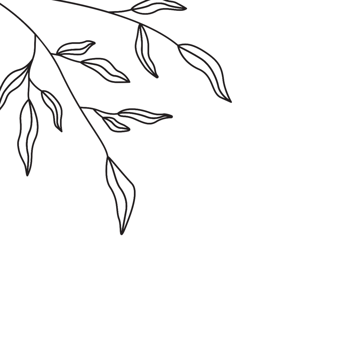 Lily Handt health + beauty