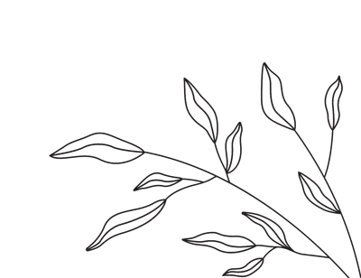 Lily Handt health + beauty